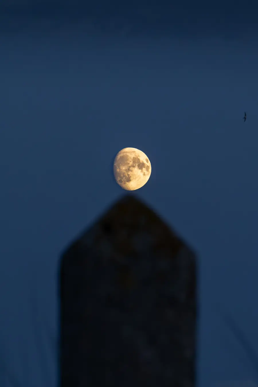 Netherlands · Texel