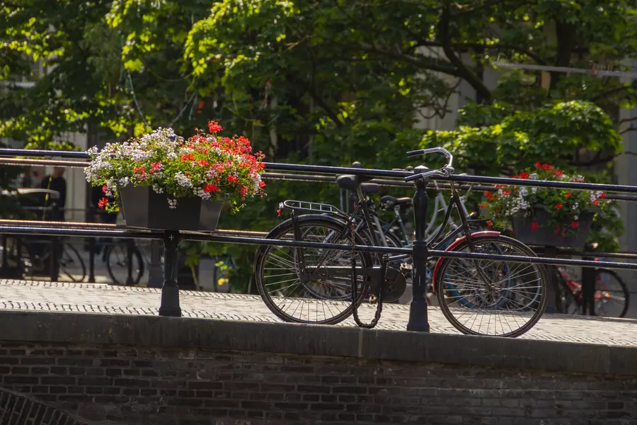 Netherlands · Utrecht