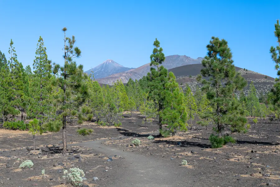 Tenerife · Pico De Teide